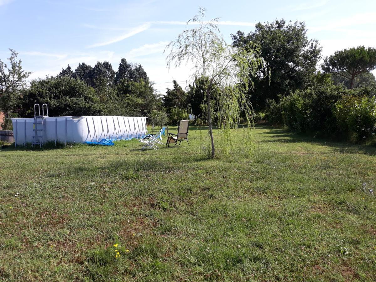 Podere Alberello Торрита-ди-Сьена Экстерьер фото